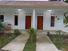 Sircuit homestay kuta